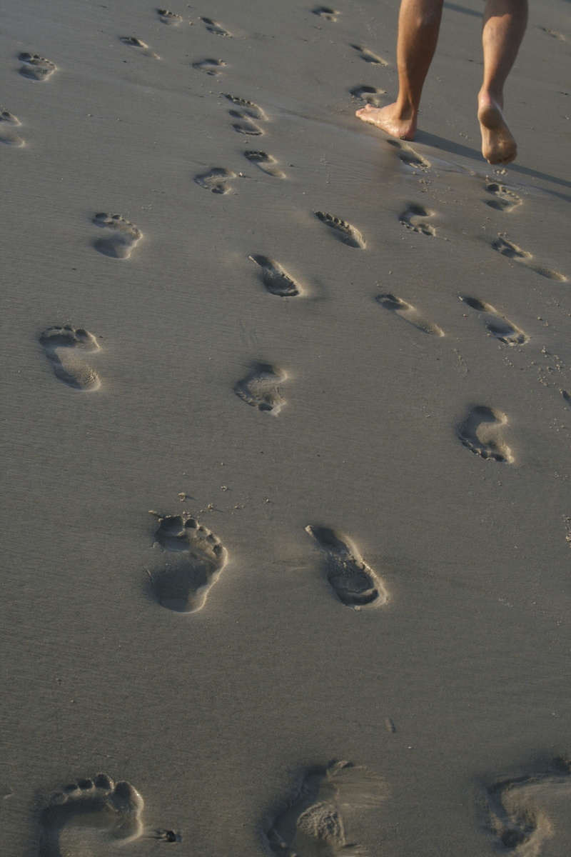 land, Holiday, lifestyles, walking, person, nature, human body part, outdoors, leisure activity, footprints, water, human leg, sea, footsteps, standing