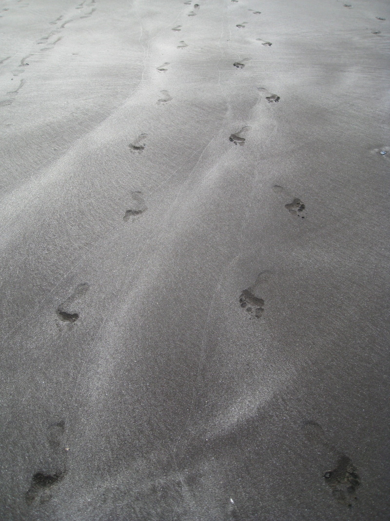 vacation, nature, print, high angle view, backgrounds, foot, footprints, beauty in nature, desert, tranquility, seashore, sand, land, track - imprint, mystery