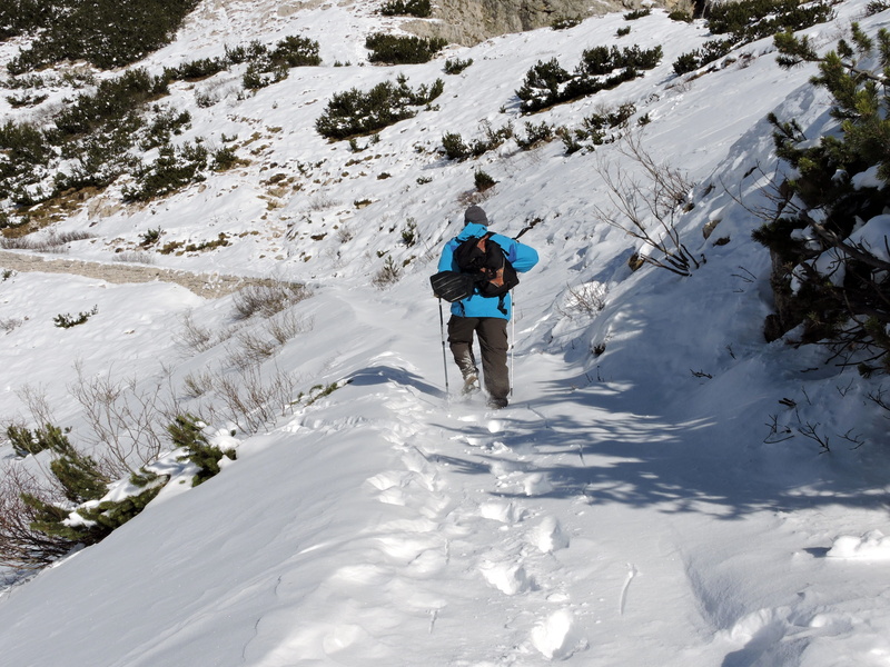 Hiking, mountain, Sticks, Snow, snowcapped mountain, adventure, walking, Man, one person, only men, real people, warm clothing, lifestyles, adults only