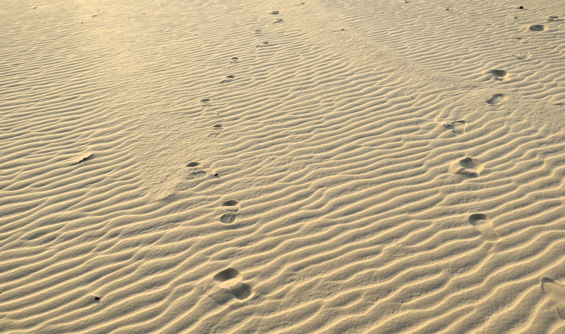 footsteps, brazil, tranquility, beach, sand dune, full frame, sand, climate, nature, day, pattern, 4K, scenics - nature, arid climate, landscape, natural pattern