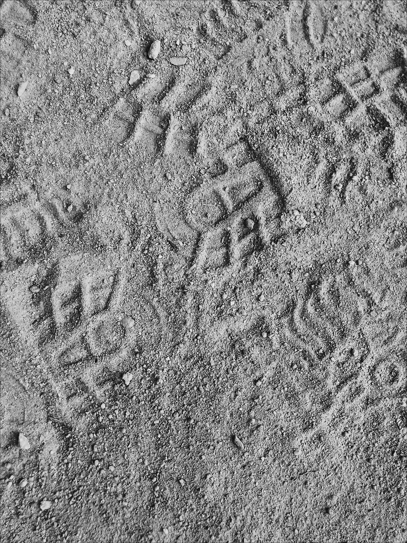 walk, day, sunlight, print, florestal, full frame, backgrounds, sand, no people, high angle view, communication, footsteps, art and craft, land, western script