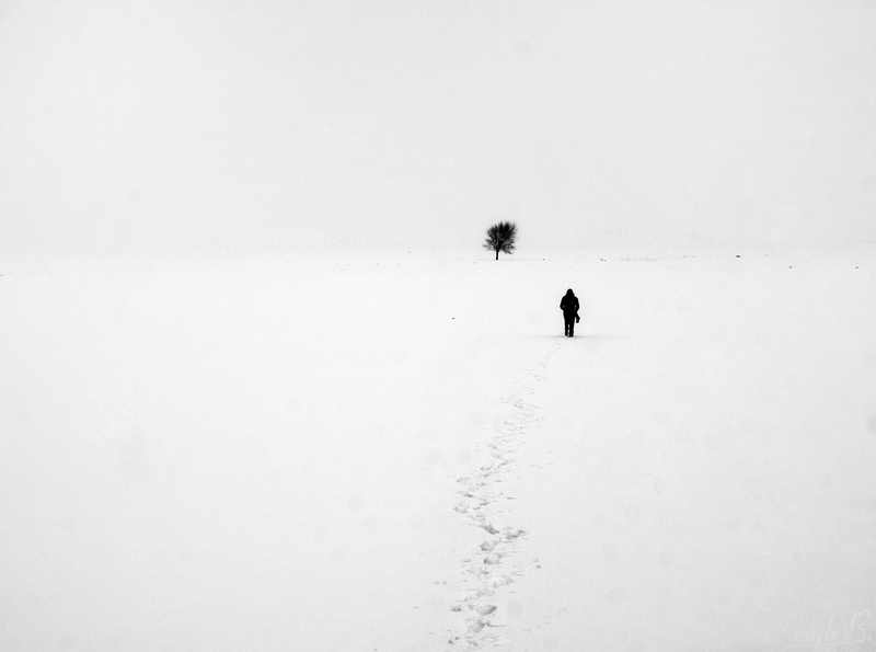 unrecognizable person, extreme weather, covering, lifestyles, cold temperature, nature, artik, Footsteps, 4K, tree, copy space, scenics - nature, outdoors
