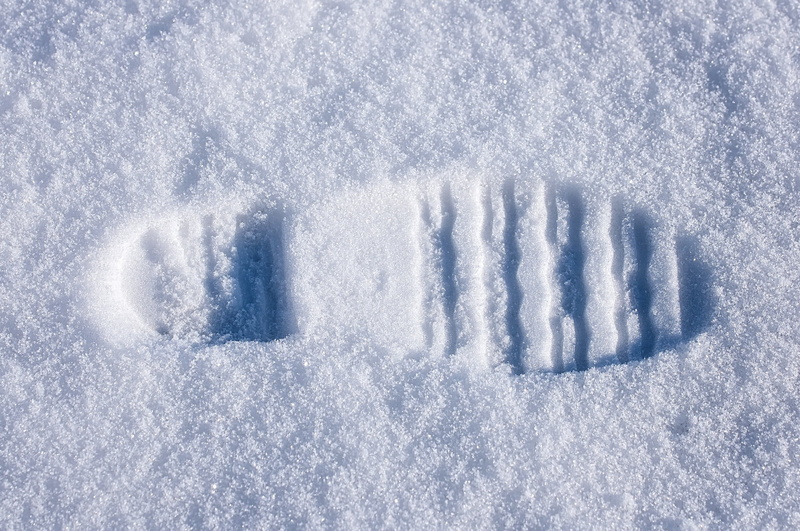 field, nature, full frame, season, outdoors, cold - Temperature, high angle view, snow, no people, footstep, environment, white, beauty in nature, close