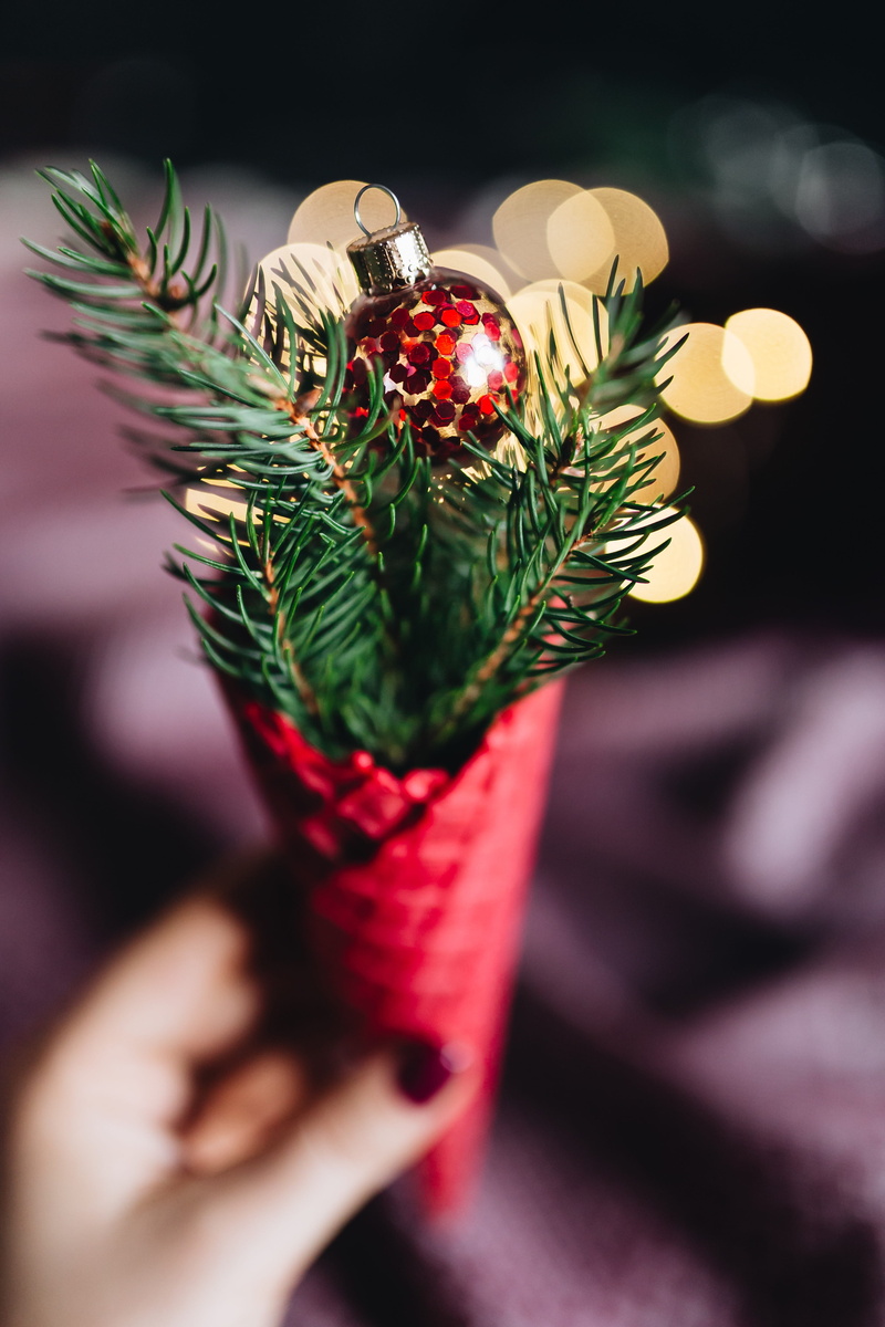 december, close-up, nature, 4K, finger, one person, real people, freshness, elegant, flowering plant, burgundy, human body part, celebration, hand, focus on foreground