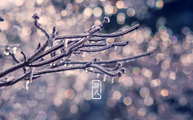 floral, snowing, tree, 1080P, rain, nature, selective focus, branch, snow, light, plant, textile, lens flare, frozen, no people, cold temperature, black
