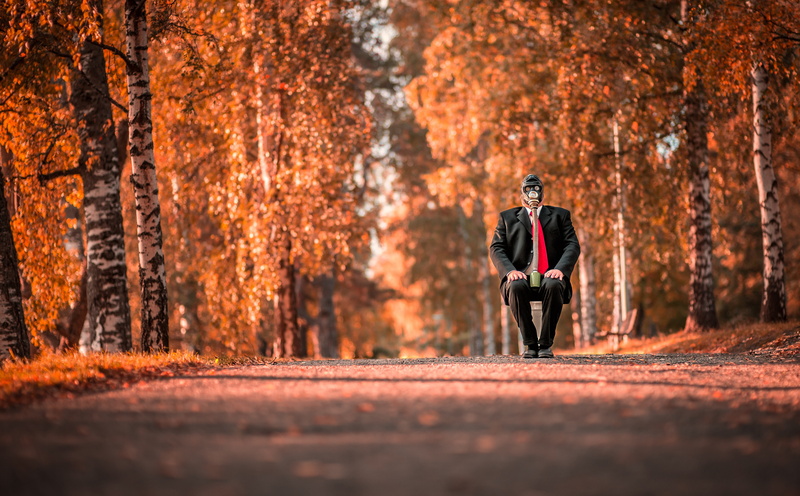 Autumn, nature, outdoors, Creative, suomi, Finland, 5K, tree, one person, golden, Waste, sport, Mask, Prime, forest, Money, nikon, moment, pohjoissavo