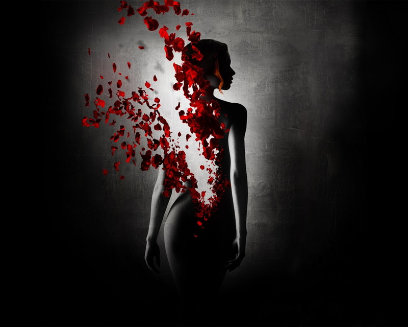 hd, flower, women, nature, petals, photomanipulations, murderer, story, perfume, 720P, flowers, x, art, flower petals