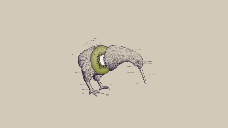 photomanipulations, humor, x, animals, funny, art, background, hd, kiwi, 1080P, wallpap, illustrations, white, BIRDS, fruits
