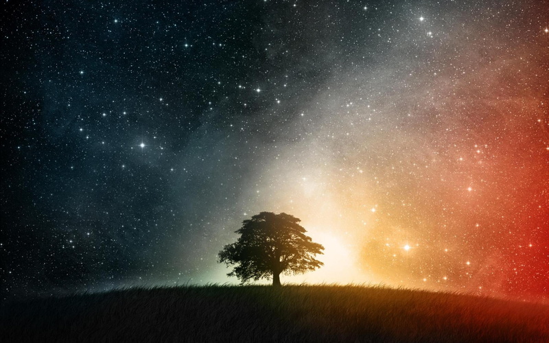 space, x, colorful, hd, creative, fantasy, stars, artwork, photomanipulations, Trees, 2K, outer, outer space, art, night, abstract