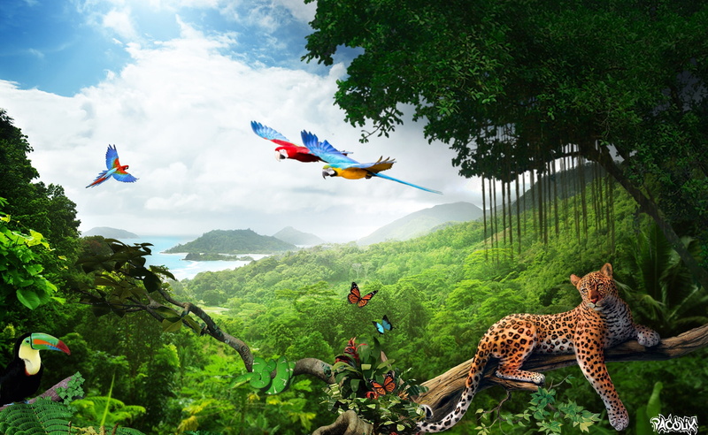 youtube, artwork, plant, mountain, pclx, environment, non-urban scene, green color, no people, tranquil scene, photomanipulation, sky, forest, outdoors