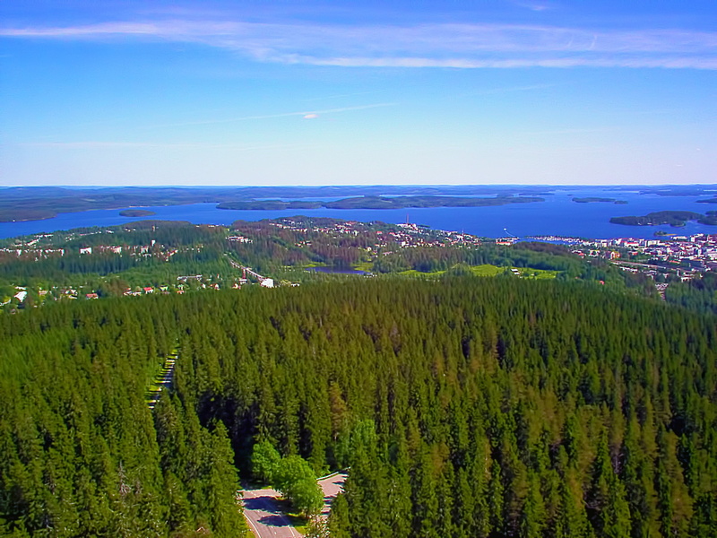 lake, pinaceae, sky, environment, high angle view, scenics, trees, tranquil scene, no people, pine tree, mountain, tranquility, landscape, outdoors, puijo