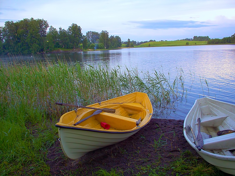 transportation, mode of transportation, canoe, boats, grass, boat, lake, growth, scenics - nature, body, tranquility, near, beside, reed, plant, finnish