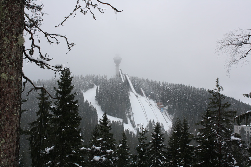 snowcapped mountain, snowing, land, no people, forest, scenics - nature, growth, plant, snow, cold temperature, trees, mountain, tree, day, sky, winter