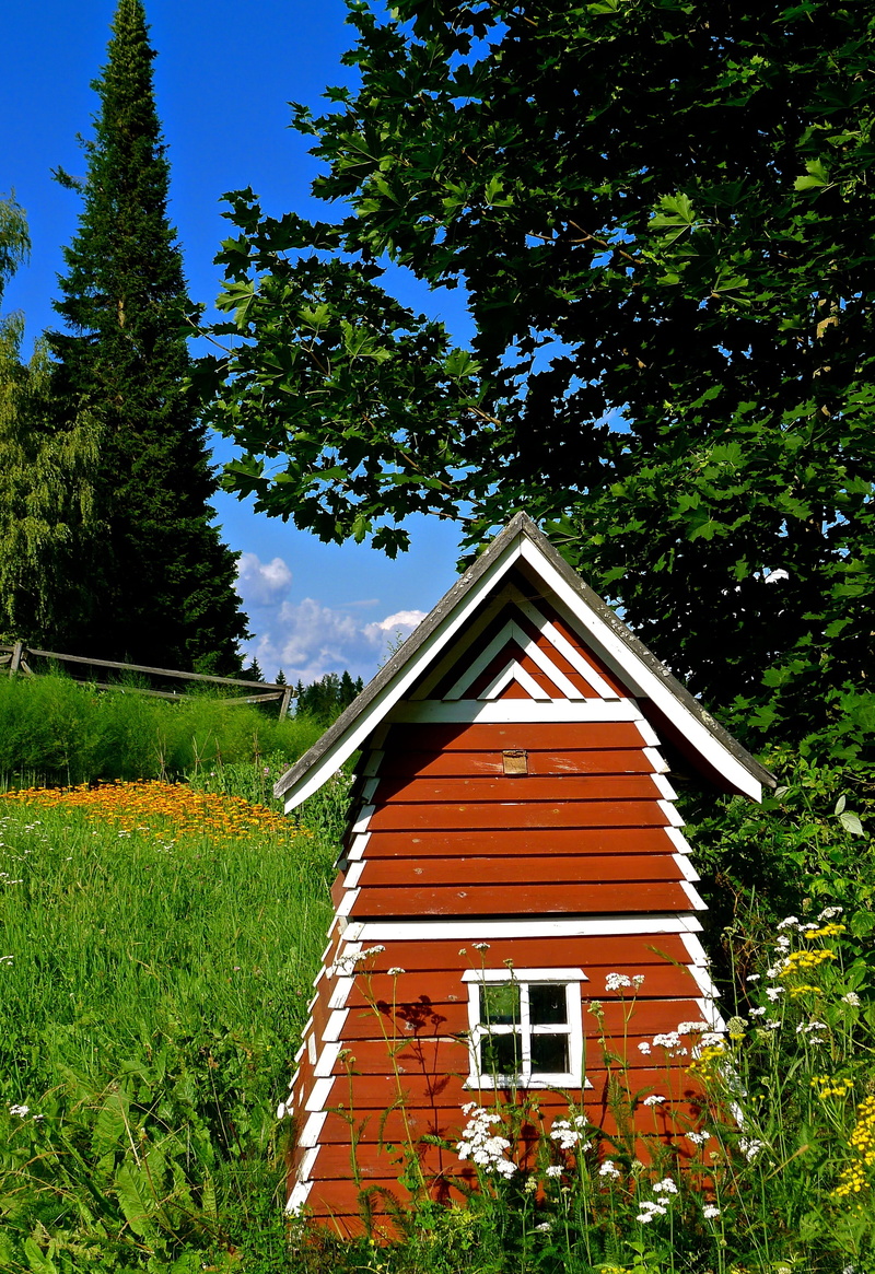 beauty in nature, no people, building, europe, green, finnish, grass, travel, nature, nordic, residential district, tourism, house, plant, forest, finland