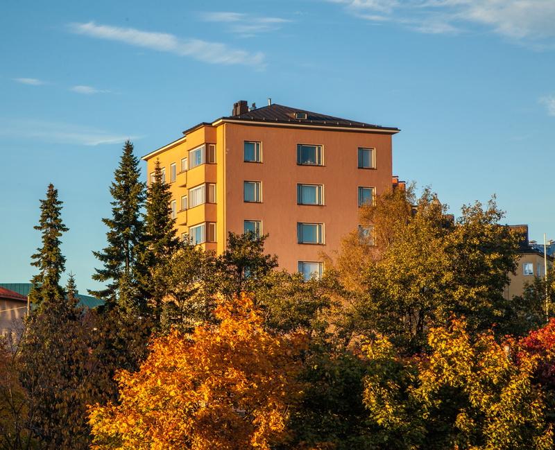 kallio, fall, orange color, change, apartment, suomi, outdoor, no people, beauty in nature, fall foliage, tourism, leaves, growth, autumn colors, outdoors