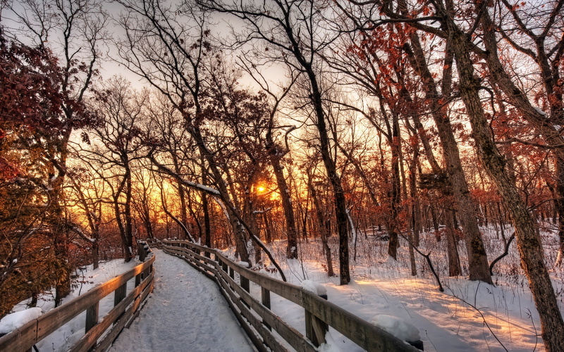 wooden, pathway, Landscape, Path, Snow, Forest, Nature, Sunset, brown, Winter, fence, 2K, Trees
