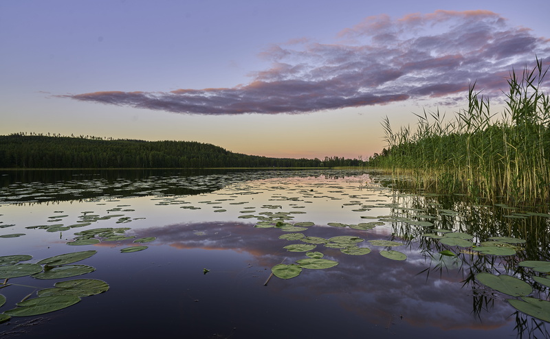 non-urban scene, tranquility, no people, wilderness, swamp, scenics - nature, tree, auringonlasku, maisema, clouds, sunset, autiontie 75, järvi, plant