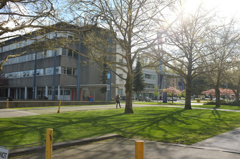 4K, park, no people, outdoors, branch, modern, day, building exterior, nature, tree, campus, grass, footpath, burnaby, built structure, building, residential district