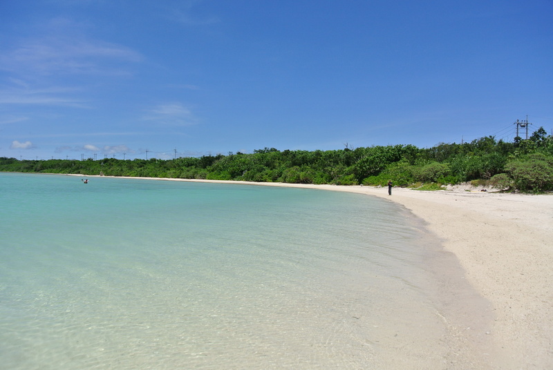 tranquil scene, vacations, scenics, horizon over water, hour, beach, blue, day, tropical tree, tree, sea, scenics - nature, 4K, ishigaki island, beauty in nature