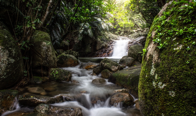 land, wilderness, tree, rock - object, stream, river, moss, 5K, timelapse, rock, nature, flowing, falling water, long exposure, algae, japan, rainforest