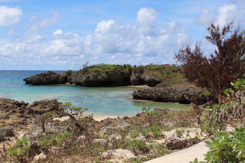 japan, okinawa, tree, solid, nature, tranquil scene, land, outdoors, sky, body, beach, plant, lagoon, daytime, beauty in nature, scenics - nature, day