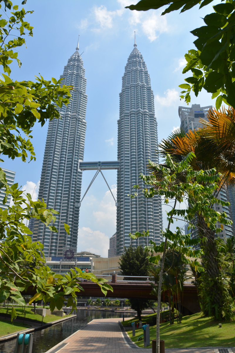downtown, tall - high, twin towers, modern, city, photograph, asia, plant, petronas towers, landmark, day, nature, attraction, financial district, twin