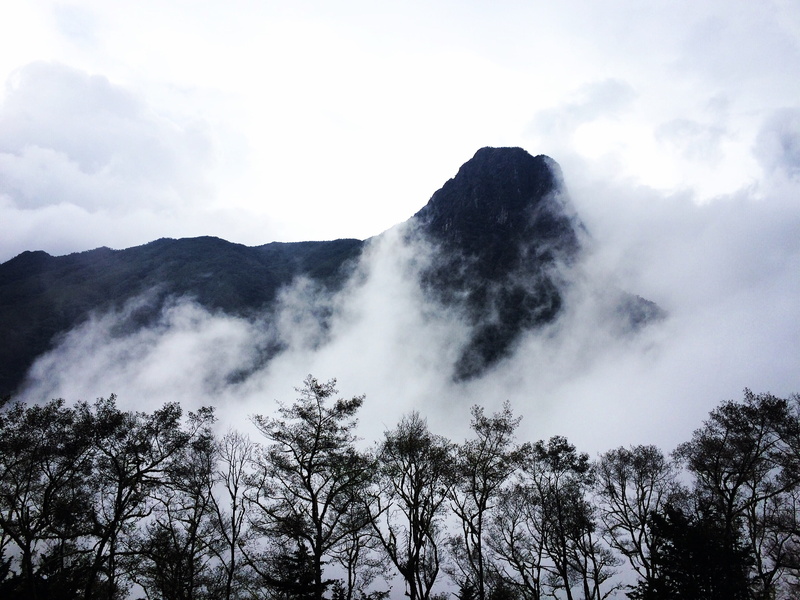 valley, plant, fog, cloud, no people, outdoors, 2K, beauty in nature, tranquil scene, mountain peak, sky, mountain, idyllic, valle del cocora, low angle view