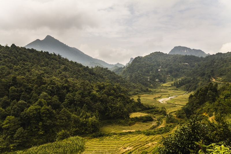 daytime, trees, beauty in nature, vietnam, traditional, 4K, nature, tranquil scene, cloud - sky, view, scene, fog, mountain peak, plant, tranquility, sky