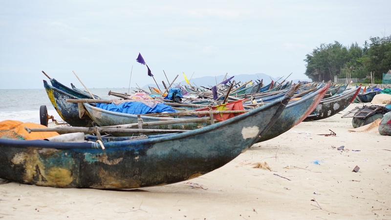 sea, transportation, outdoors, water, asia, beauty in nature, land, vietnam, rowboat, nature, journey, fishing boat, landscape, sand, mode of transportation
