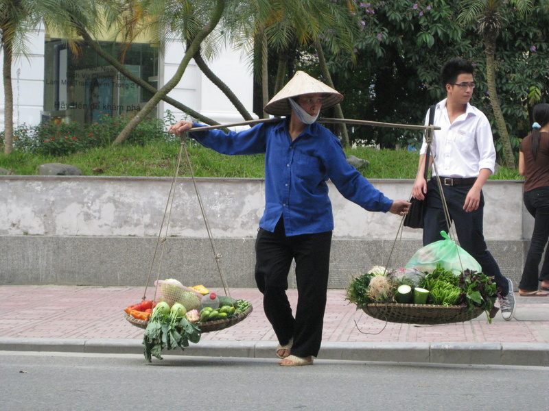 healthy eating, casual clothing, Vietnam, tourist, Vietnamese, two people, vegetable, outdoors, full length, front view, mid adult, 2K, standing, nature