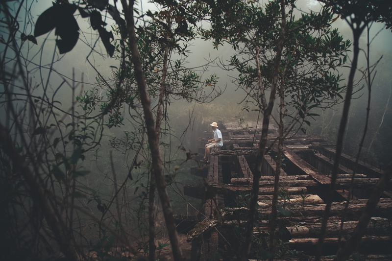 sitting, portrait, water, misty jungle, near, bird, animal wildlife, animal themes, scenic, perching, plant, one animal, abandoned place, wilderness, vietnamese hat