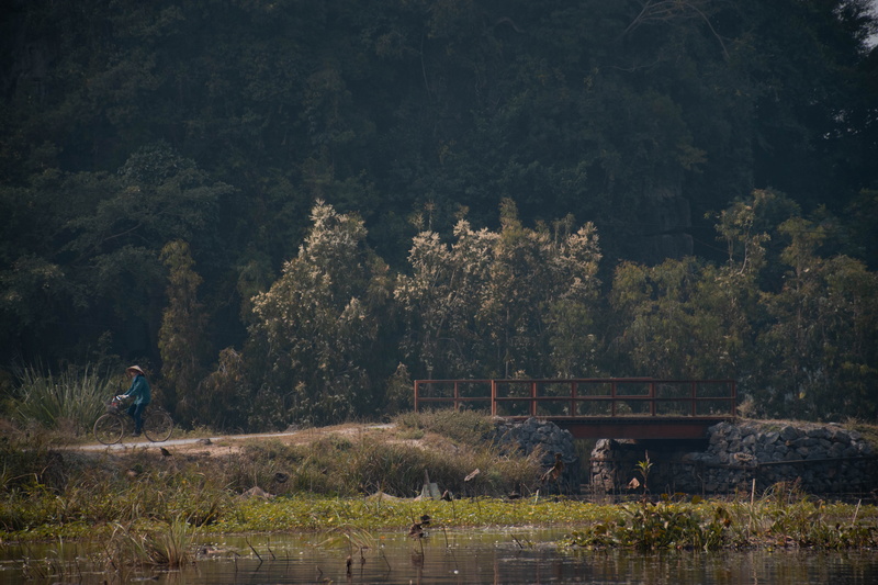 wheel, day, 5K, bicycle, person, lifestyles, water, scenics - nature, near, outdoors, architecture, leisure activity, body, real people, fir, built structure