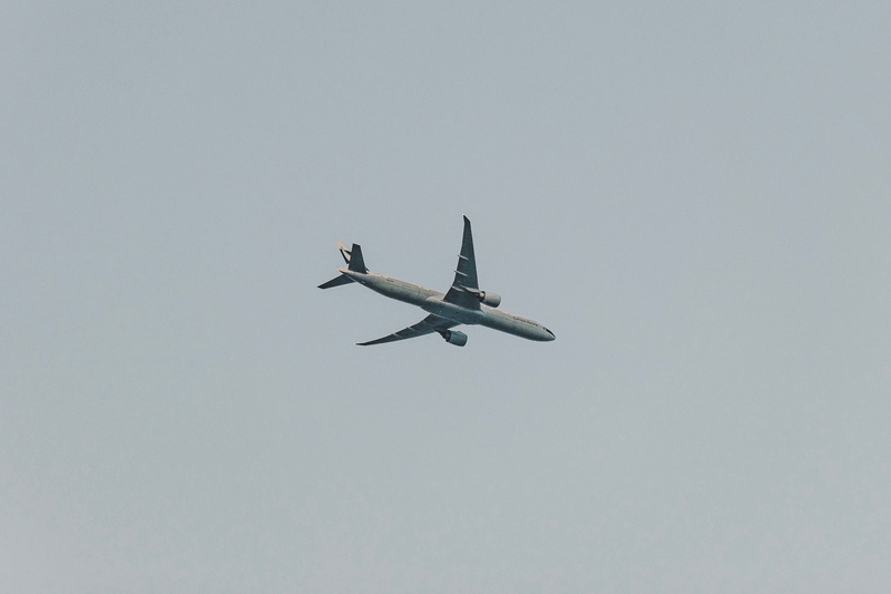 fly, animals in the wild, gray, day, travel, aviation, animal wildlife, plane, nature, transportation, mid-air, worm, view, on the move, telephoto, airplane