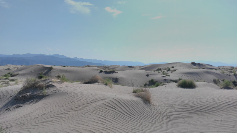 sky, no people, blue, desert, land, sand, shrubbery, northern mexico, mexico, travel, climate, nature, scenics - nature, solo, white, sand dune, viesca