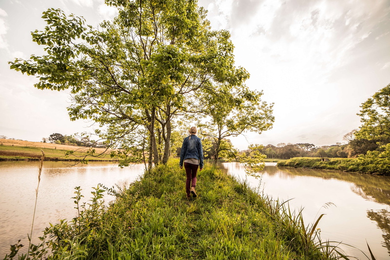 horizon, lifestyles, natural, plant, bright, full length, light, cloudy, leisure activity, tree, reflection, season, standing, clouds, walk, sky, real people