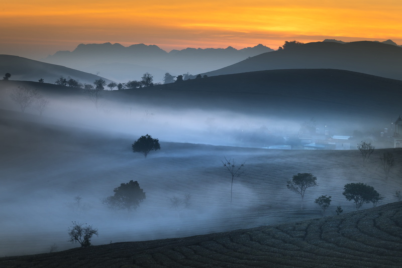 national, land, outdoors, natural, sunset, farm, province, moc chau, travel, nature, the sun, fanciful, summer, frost, sun, hour, background, rice field