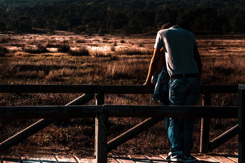 adult, together, plant, rear view, field, romance, lifestyles, wood, standing, 1080P, woman, silhouette, light, railing, couple, happiness, men, fence