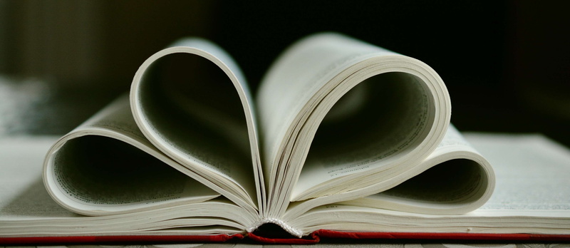publication, paper, new testament, hardcover book, creativity, read, learning, pitched, single object, printed media, expertise, folded, education, close-up