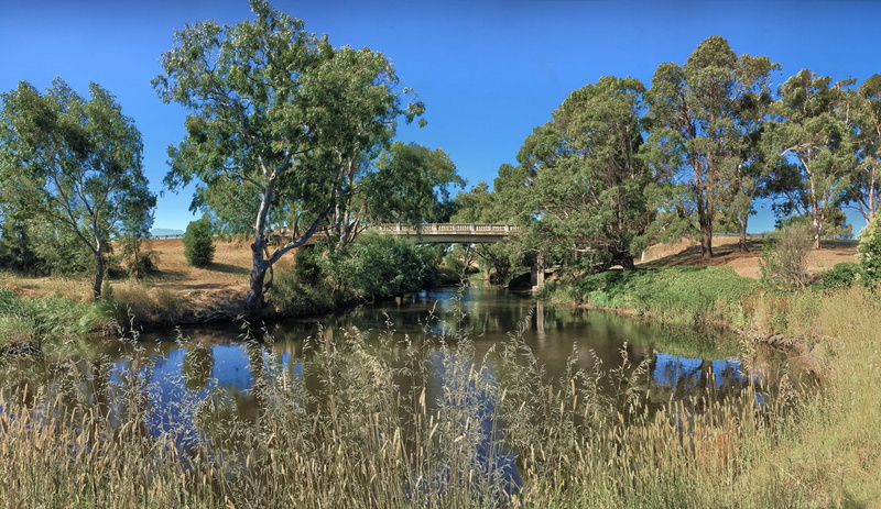 travel, no people, reids flat, lake, plant, day, animal, tranquility, blue, country, hd background, reflection, gum tree, landscape, beauty in nature