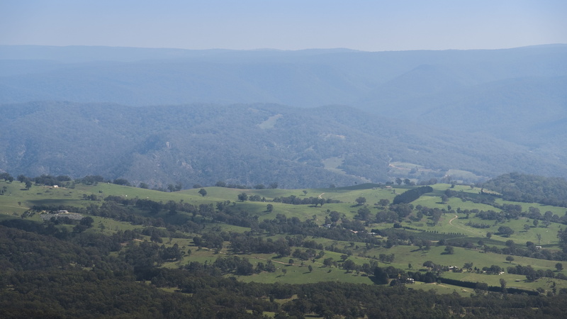 out, western, tree, megalong valley, non-urban scene, mountains, no people, 5K, tranquil scene, plant, megalong, idyllic, blue, green color, beauty in nature