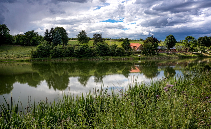 tranquility, cloud - sky, no people, tree, lake, grass, tranquil scene, nature, plant, river, 1080P, Langa, scenics - nature, Nsw, non-urban scene, landscape