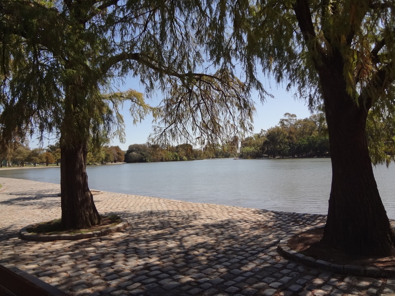 tranquil scene, beauty in nature, outdoors, growth, sunlight, tree trunk, trunk, tree, scenics - nature, sky, no people, buenos aires, water, branch, shadow