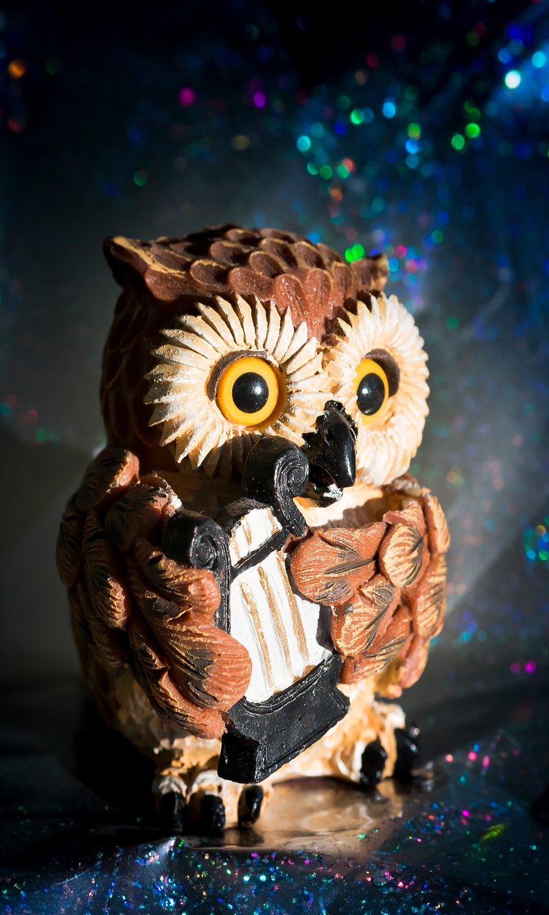 no people, toy, eagle owl, animal representation, table, animal, eyes, focus on foreground, close-up, nature, owl, bird, raptor, representation, statue