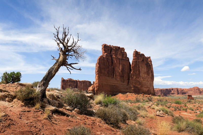 vacation, tranquility, arches national park, solid, geology, hike, eroded, rock formation, no people, beauty in nature, rock, tranquil scene, environment