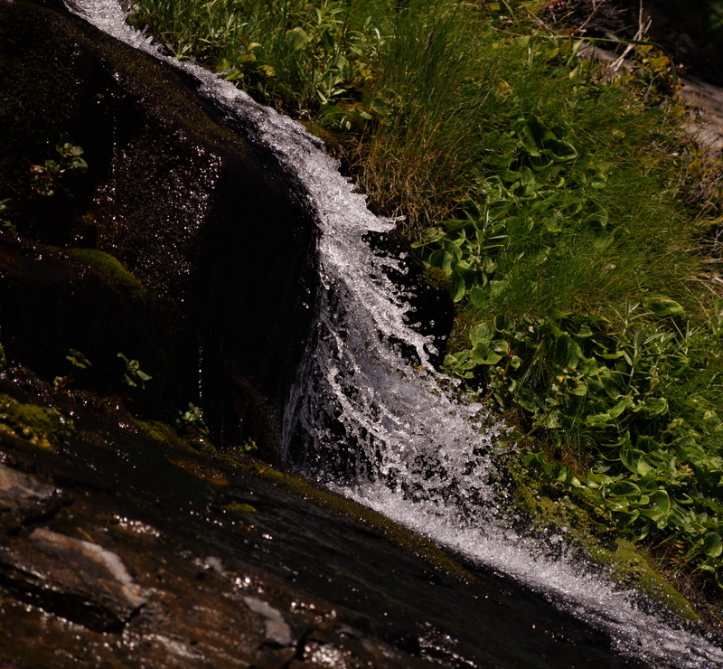 power in nature, ground, land, forest, rock, green color, growth, shutter speed, algae, blurred motion, short sands, plant, creek, beach, river, motion