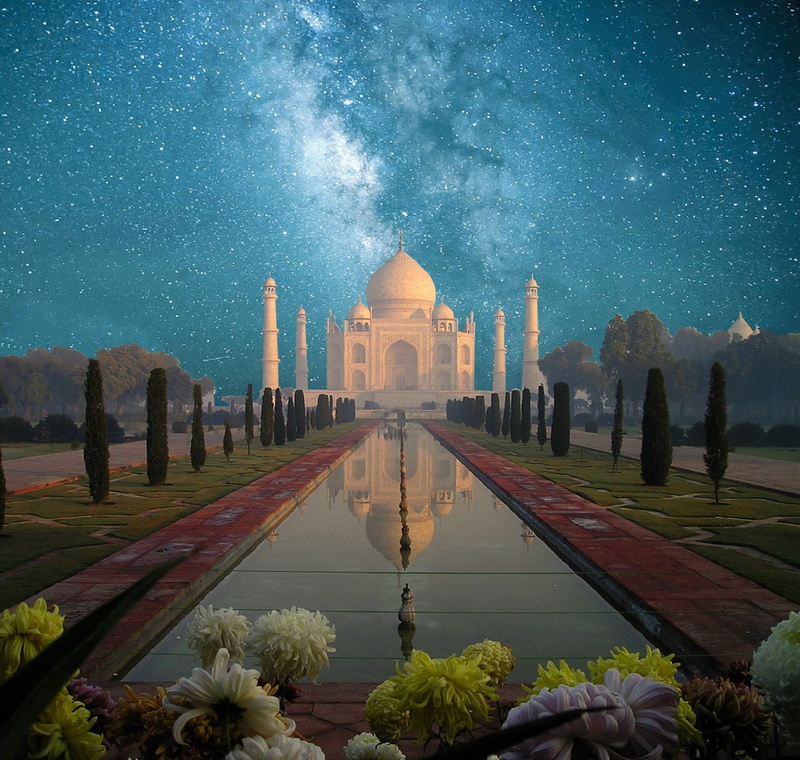 plant, setting sun, afterglow, religion, flower, star - space, reflecting pool, romantic, abendstimmung, sky, Agra, dusk, place of worship, tree, building exterior