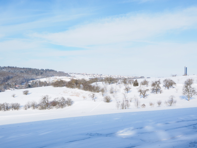 tower, tree, german architecture award, winter, swabian alb, record, snowcapped mountain, forest, scenics - nature, white, landscape, sky, scenics, frost