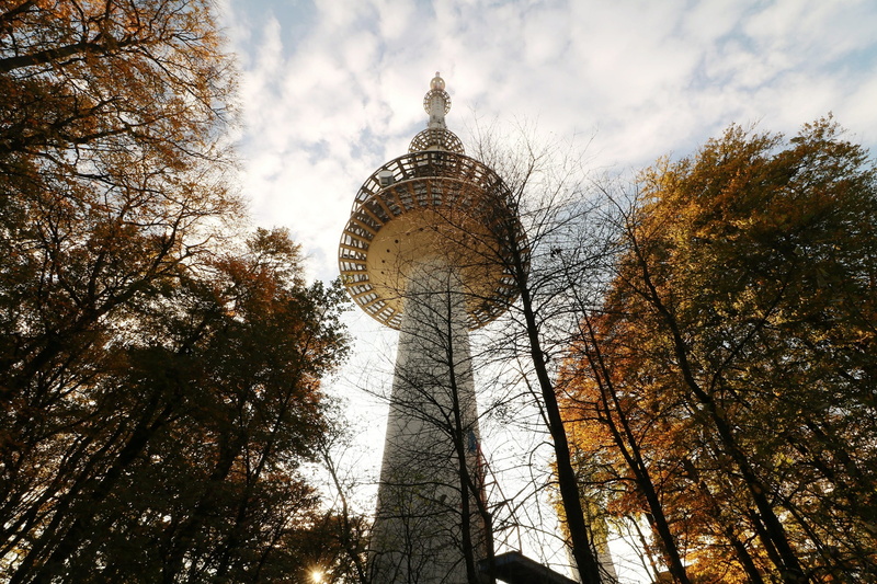 tree, nature, autumn, tall - high, communication, warm, telecommunications, transmission tower, plant, growth, no people, building exterior, park, radio tower