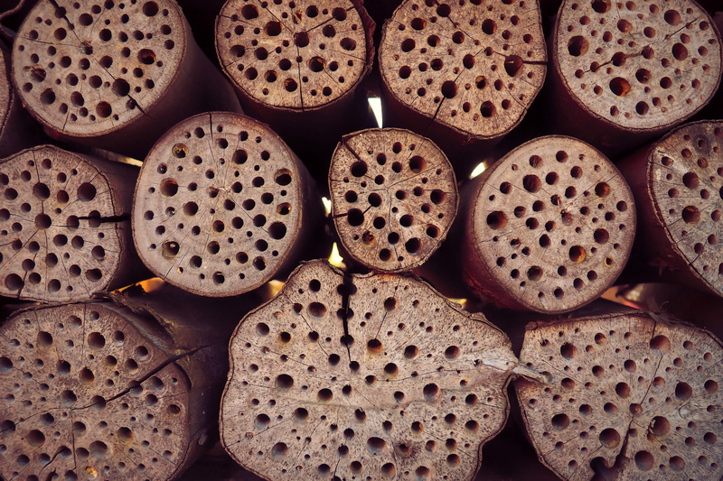brown, hibernation help, perforated, shelter, nesting help, 4K, backgrounds, close-up, no people, healthy eating, textured, abundance, drill holes, arrangement