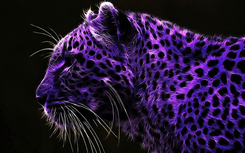 pretty, purple, wild, 1080P, animals, leopard, animal, spots